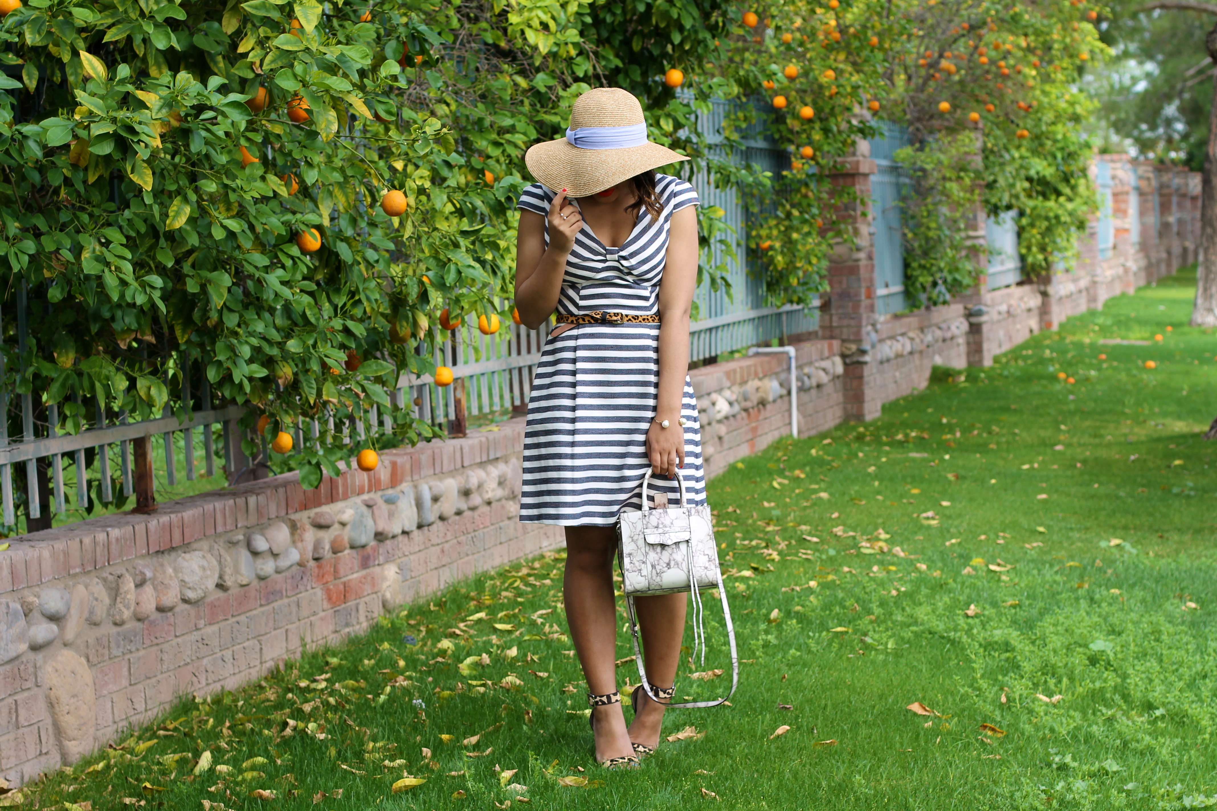 color me courtney color me courtney color me courtney colormecourtney colormecourtney.com color me courtney blog orange oranges oranges stripes striped dress stripe spring dress panama hat how to wear a panama hat stripe dress stripe bow dress stripe bow stress bow stripe dress searsucker dress sear sucker dress stripe dress