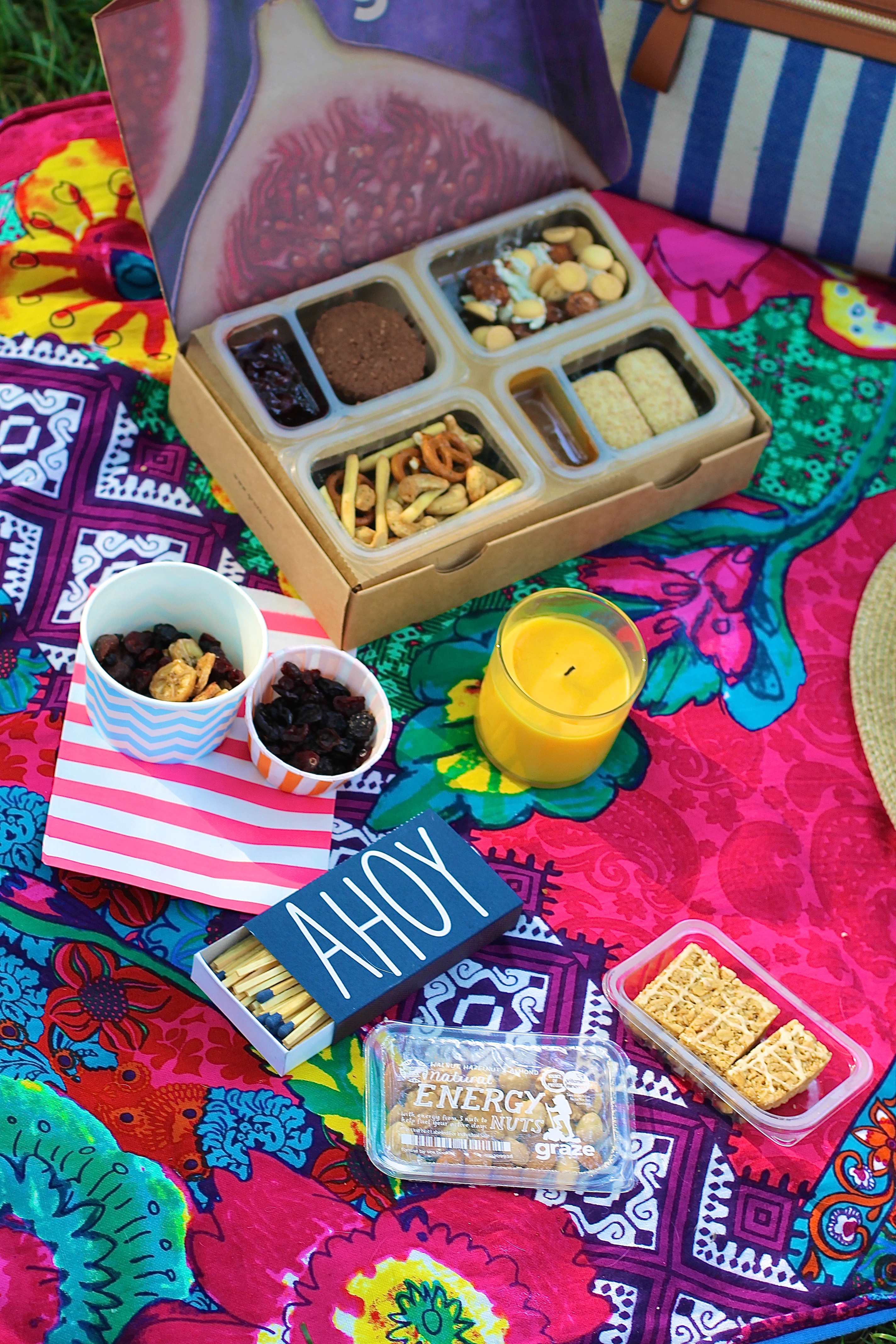 picnic perfect picnic graze snacks nourish snacks snack subscription snack subscription blogger picnic new york picnic bright picnic picnic basket new york picnic how to have a picnic picnic basket picnic in the park